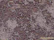 Ткань кожзам 102-10 Ткань кожзам 102-10