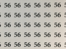 Размерник клеевой (320 штук на листе) 56 Размерник клеевой (320 штук на листе) 56