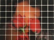Украшения клеевые квадраты девушка c розами 12смх16см