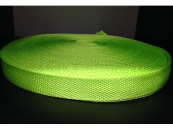 Тесьма лента ременная 25мм 900D (100м) салатовый Тесьма лента ременная 25мм 900D (100м) салатовый