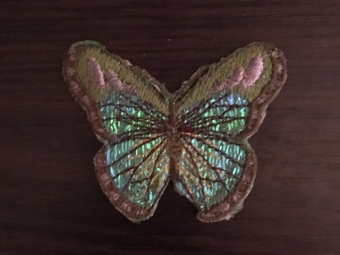 ������� ��������� ������� 6���4,5�� �������