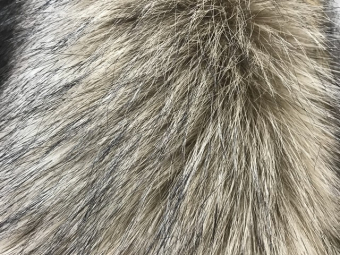 Мех искуственный песец бежевый ворс 5см (1метр) Китай Мех искуственный песец бежевый ворс 5см (1метр) Китай