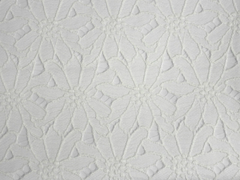 ����� ����� �������� ������� (1����)