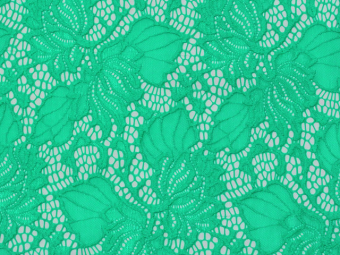 ����� ����� ���������� ��������� (1����)