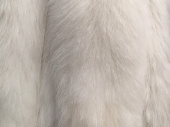 ������ ����������� ��� ����� ������� 11���70�� ��������