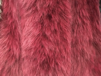 ������ ����������� ��� ����� ������� 11���70�� �������