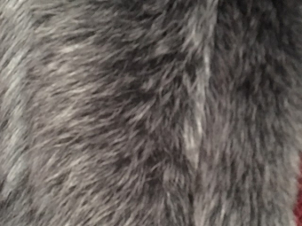 ������ ����������� ��� ����� ������� 11���70�� ������