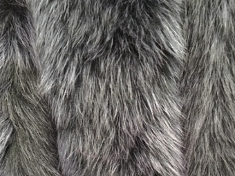 ������ ����������� ��� ����� ������� 11���70�� ���